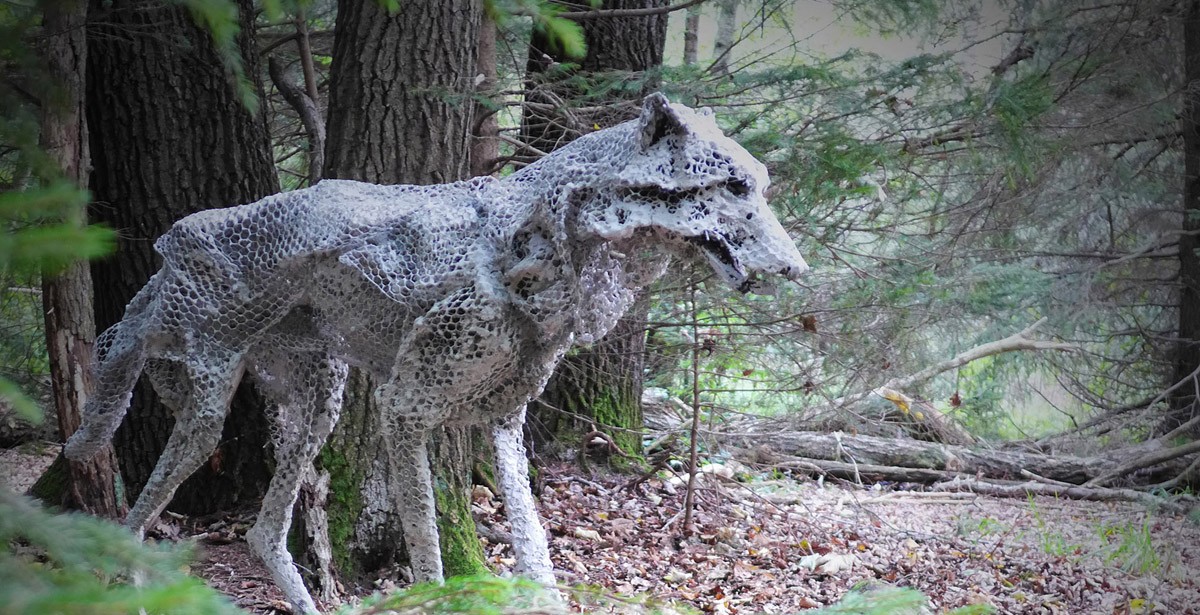 intro, Masse. Bewegung. Auflösung. - Elsa Nietmann