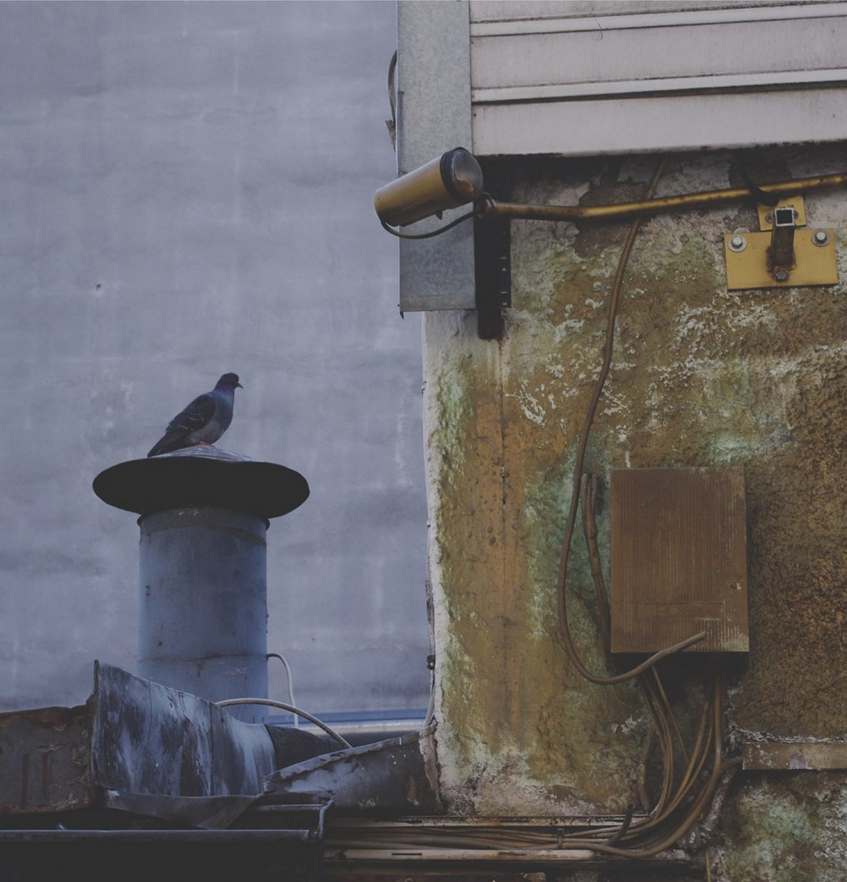 Gerhard Grabsdorf, Schwabinger 7