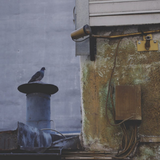 Gerhard Grabsdorf, Schwabinger 7