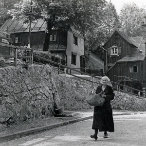 Herbert Wendling, Fischerweg in der Au