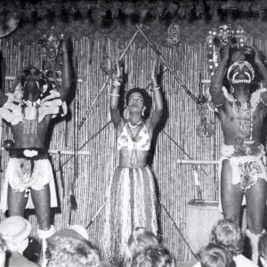 Herbert Wendling, Welt der Tropen