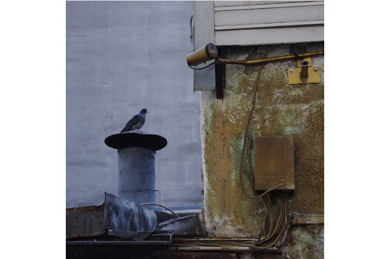 Fotobuchkalender – Bild 2