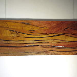 Holz³ - Elsa Nietmann