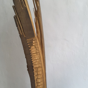 Elsa Nietmann - Petrified Forest