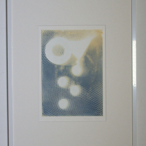 Elsa Nietmann - Cyanotypie