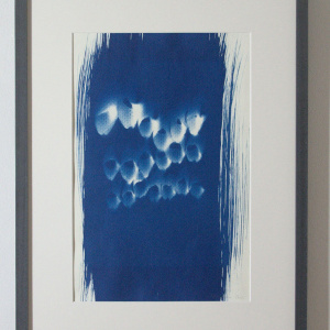 Elsa Nietmann - Cyanotypie