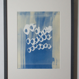 Elsa Nietmann - Cyanotypie