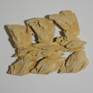 Elsa Nietmann - Vögel