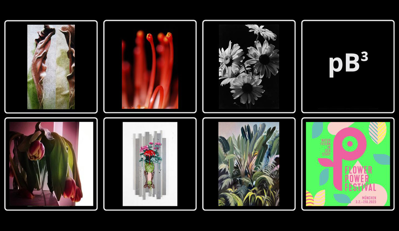 pB³ - Gruppenausstellung im Rahmen des Flower Power Festival