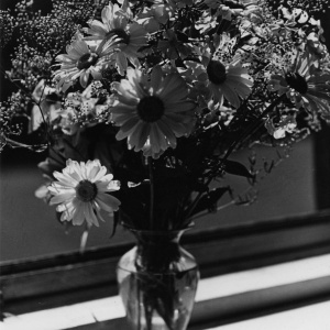 Herbert Wendling - Blumen