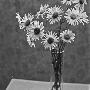 Herbert Wendling - Blumen